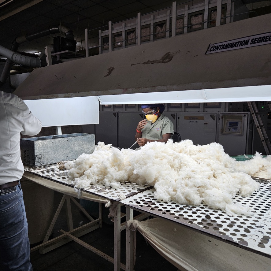 Cotton contamination segregation area with worker in mask